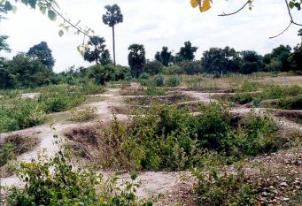 pp killing fields 2