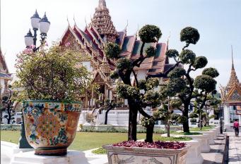 thai_grand_p_8