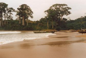 dix cove 4