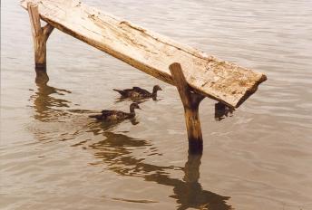 ghana lake 2