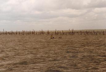 lake volta 1