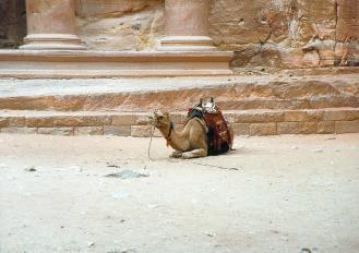 petra 1
