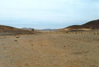 sinai cc 13