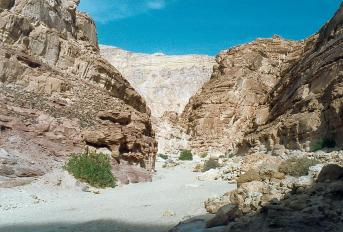 sinai cc 2