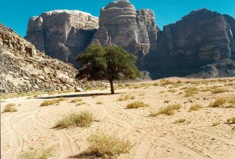 wadi rum 1