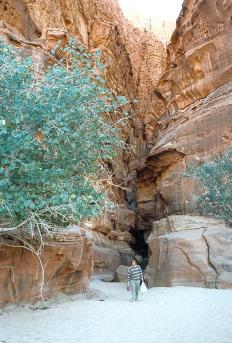 wadi rum 3