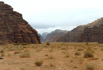 wadi rum 5