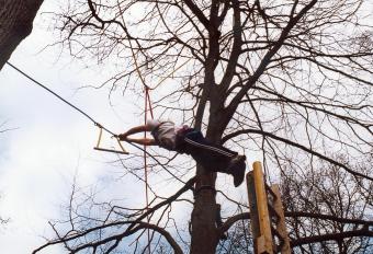 me_perch_2