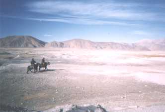 Tibetean Plateau Horse Men
