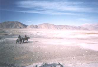 Tibetean Plateau Horse Men