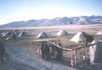 Road to Lhasa meat market