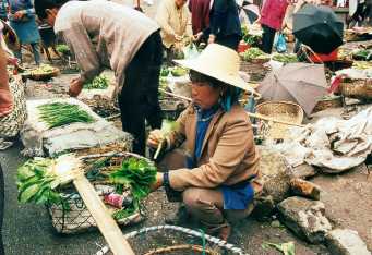 dali_market 1