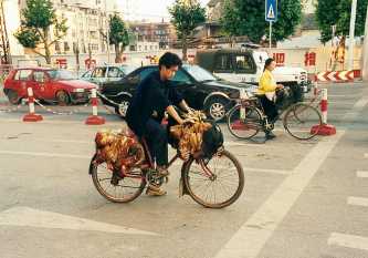 jinghong bike chuck