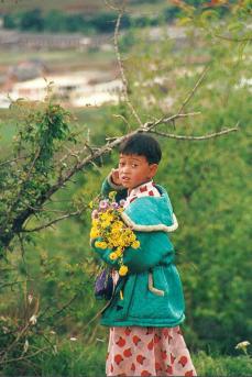 jinghong girl 11