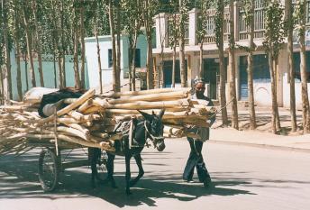 kasgar street 1