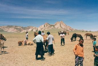 gobi_horses_3